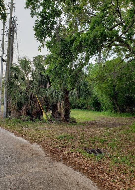 GROSSE AVENUE TARPON SPRINGS, FL 34689
