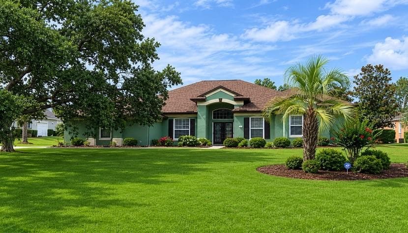1 MINTWOOD POINT HOMOSASSA, FL 34446