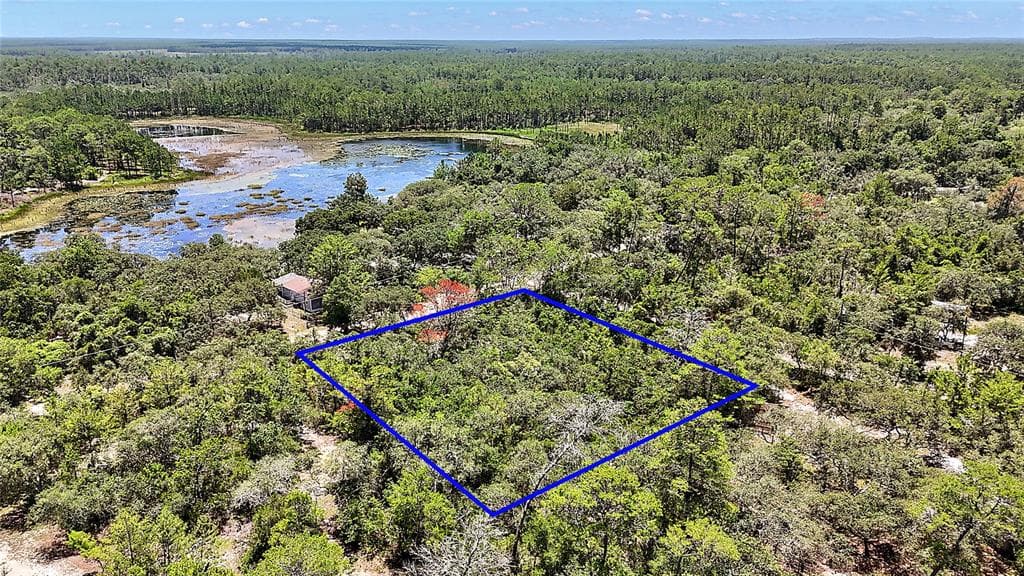 0 SE 197TH AVENUE OCKLAWAHA, FL 32179