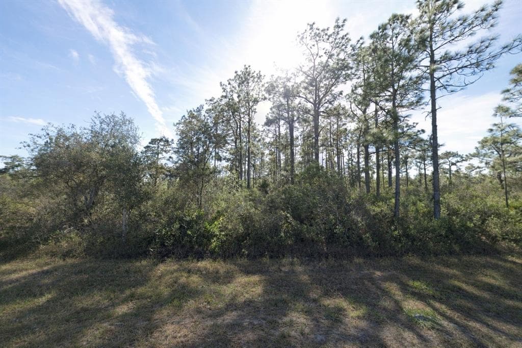 GAILLARDIA DRIVE INDIAN LAKE ESTATES, FL 33855