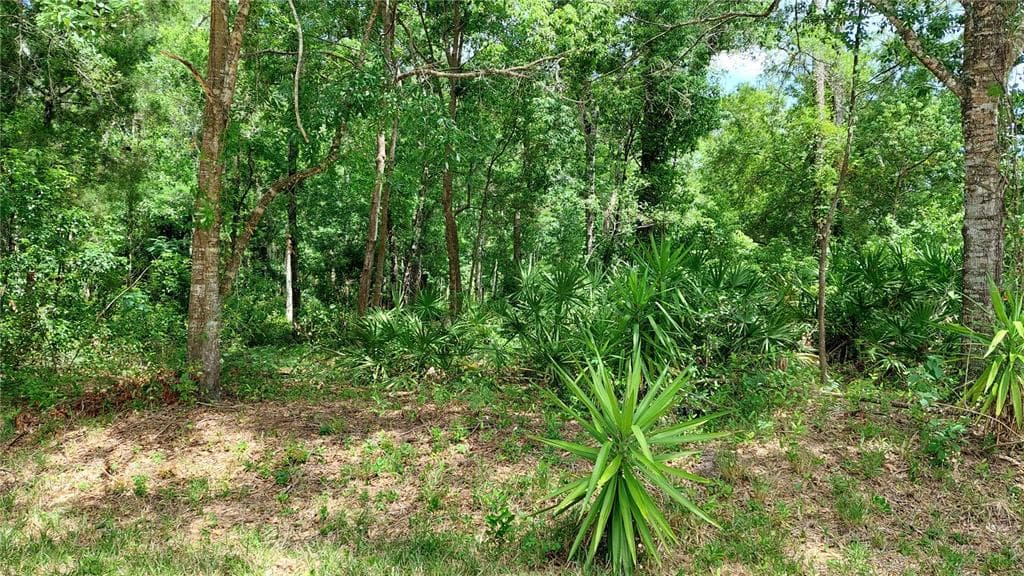 DAVISTA NEW PORT RICHEY, FL 34654