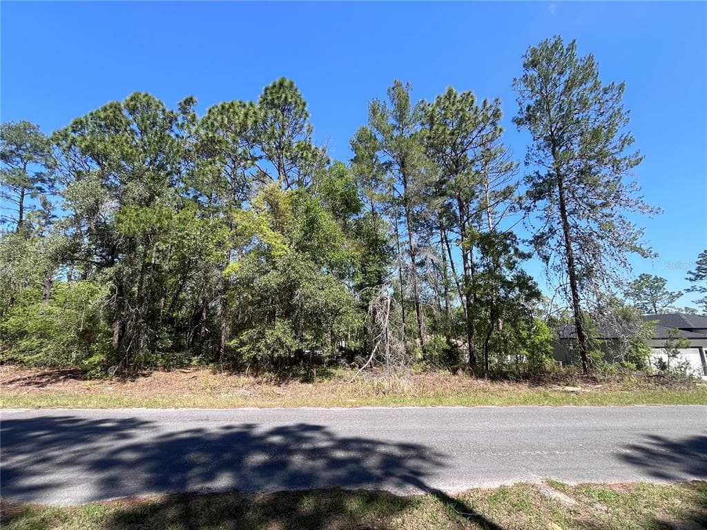 8000 N POCONO DRIVE CITRUS SPRINGS, FL 34434