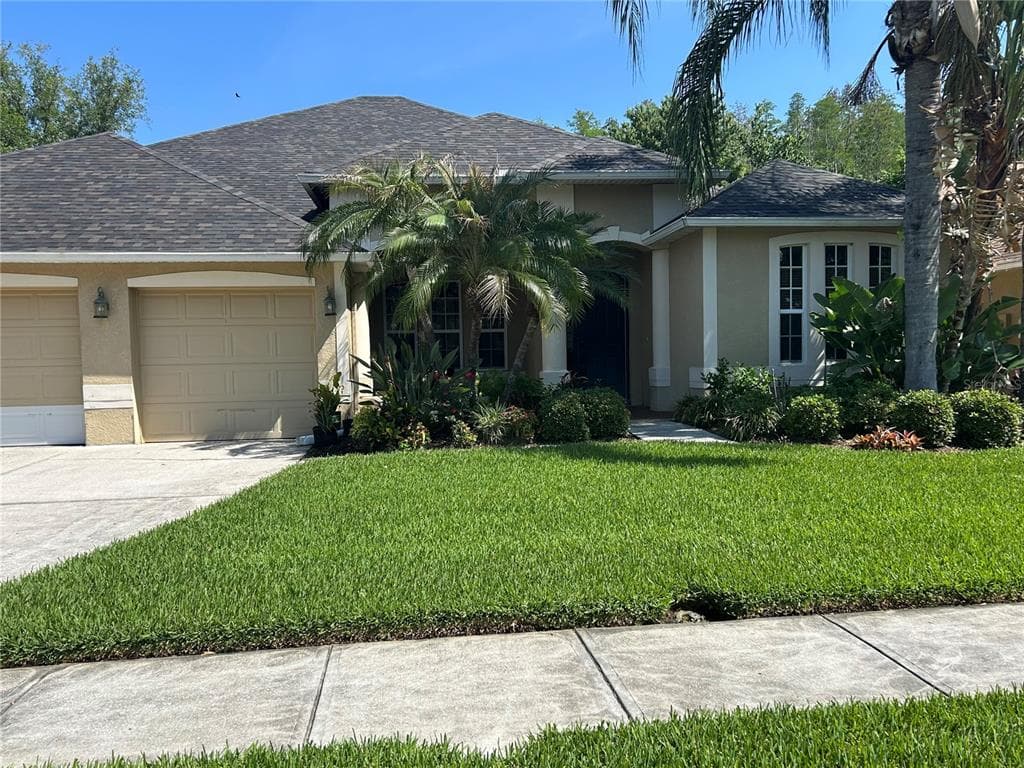 26612 SHOREGRASS DRIVE WESLEY CHAPEL, FL 33544