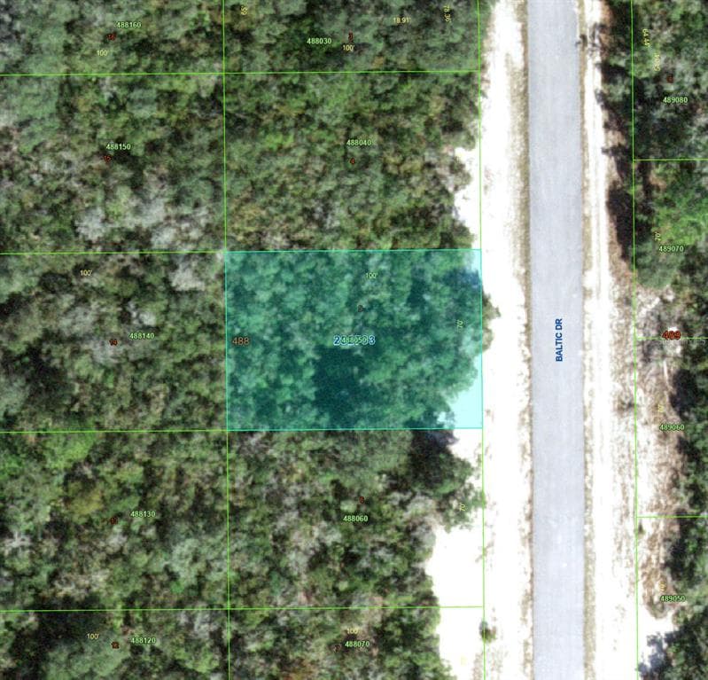 1238 BALTIC DRIVE KISSIMMEE, FL 34759