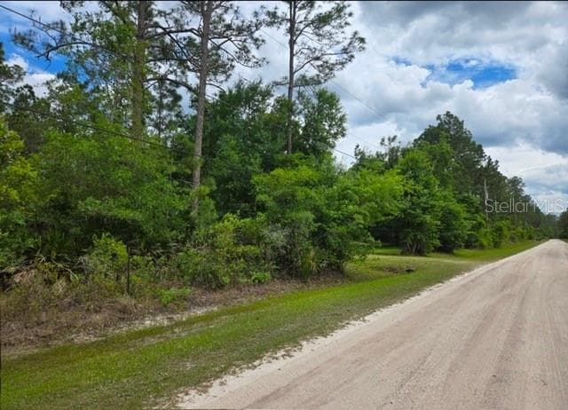 1747 CANDLEBERRY STREET BUNNELL, FL 32110