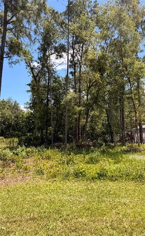 6327 FIG AVENUE WEBSTER, FL 33597