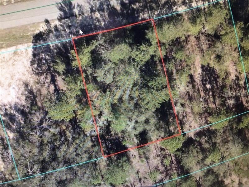 SW 153 PLACE ROAD OCALA, FL 34473