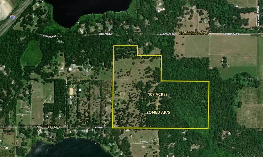 31501 REED ROAD DADE CITY, FL 33523