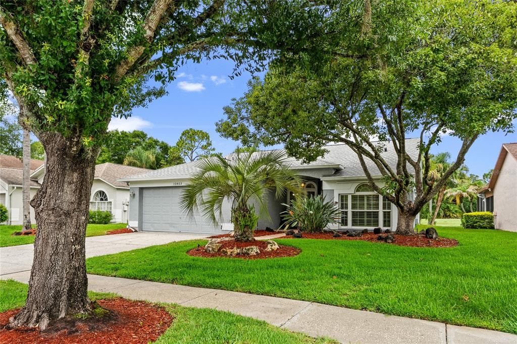 12823 ROYAL GEORGE AVENUE ODESSA, FL 33556