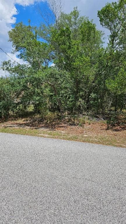RICHLOAM BROOKSVILLE, FL 34610