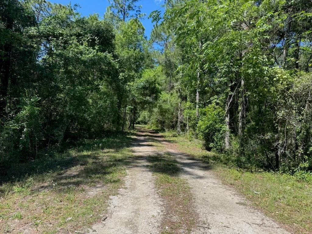 CITADEL DRIVE WEBSTER, FL 33597