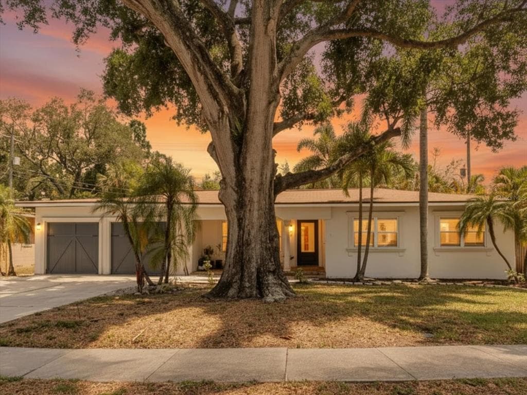 3138 W EUCLID AVENUE TAMPA, FL 33629
