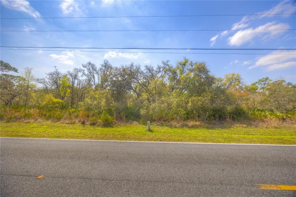 35166 CORNERSTONE DRIVE WEBSTER, FL 33597