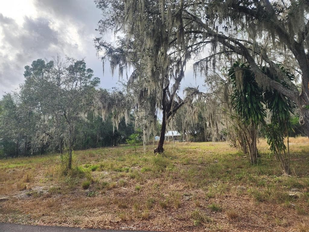 1409 WILKINSON DRIVE