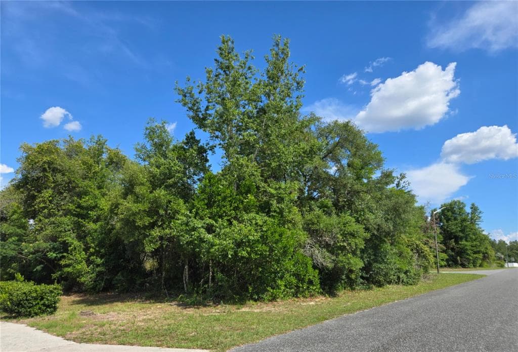 TBD MARION OAKS DRIVE OCALA, FL 34473