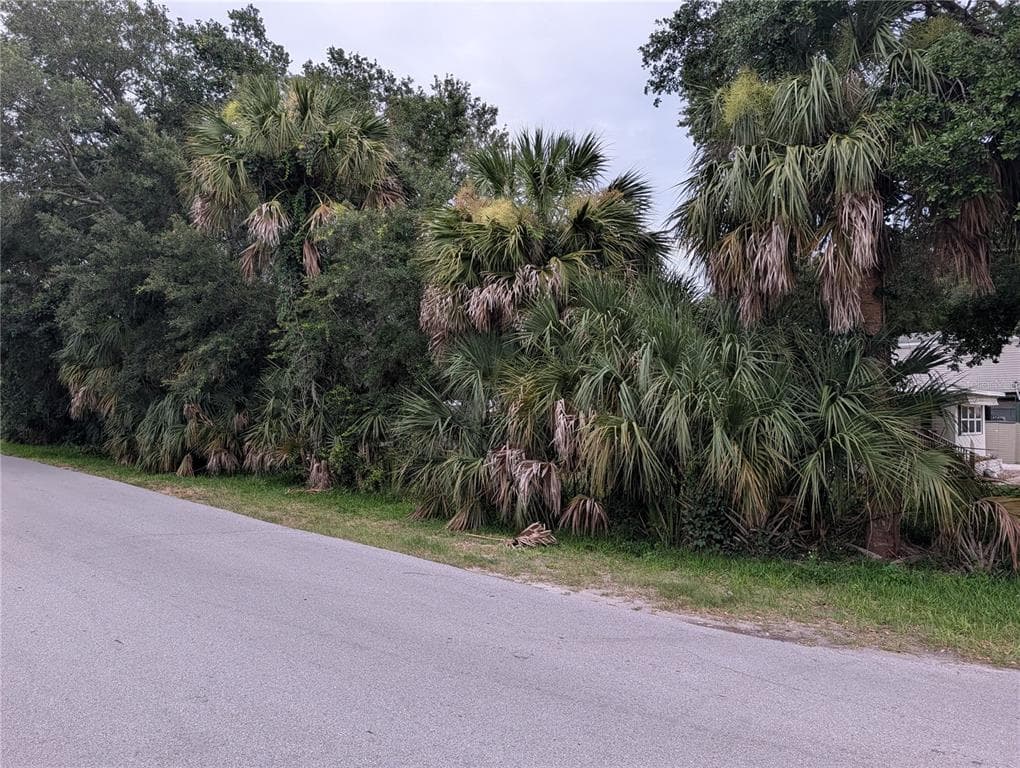 SEBRING STREET WEEKI WACHEE, FL 34607