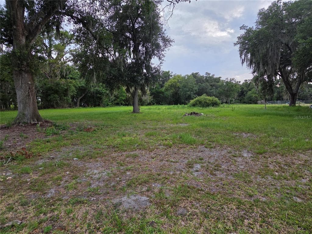 10716 MCINTOSH ROAD THONOTOSASSA, FL 33592