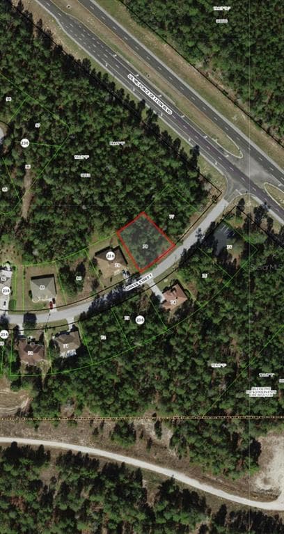 111 GRASS STREET HOMOSASSA, FL 34446