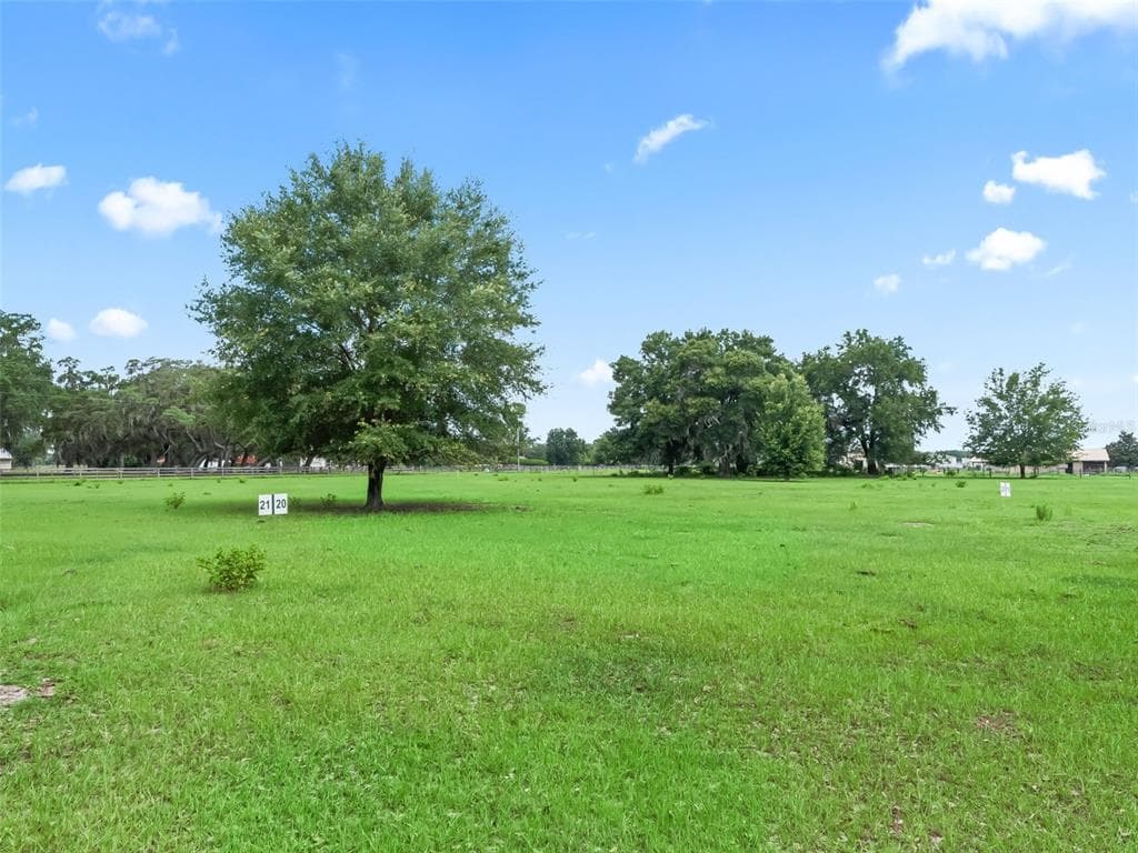 Lot 20 CR 543 BUSHNELL, FL 33513