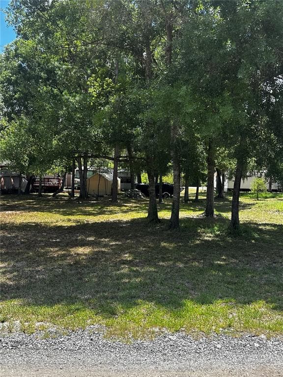 SPARE DRIVE NEW PORT RICHEY, FL 34654
