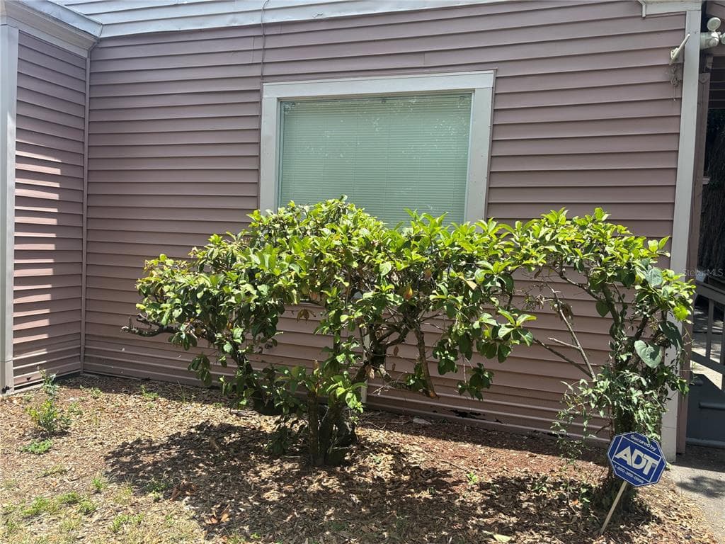 807 E OSBORNE AVENUE TAMPA, FL 33603
