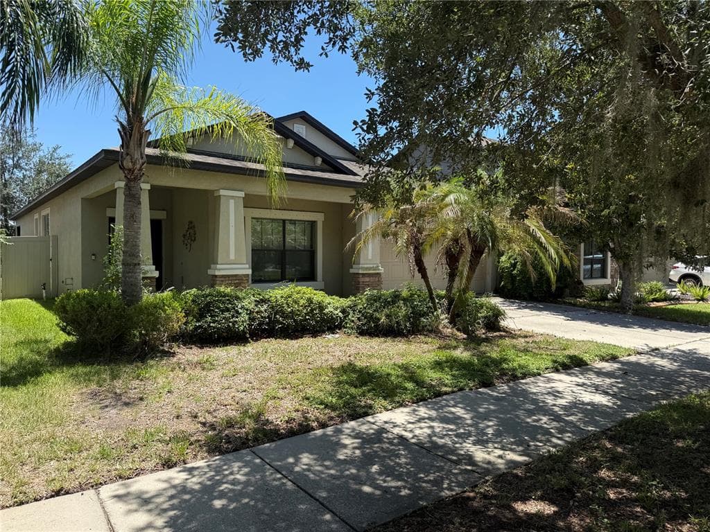 11617 PALMETTO PINE STREET RIVERVIEW, FL 33569