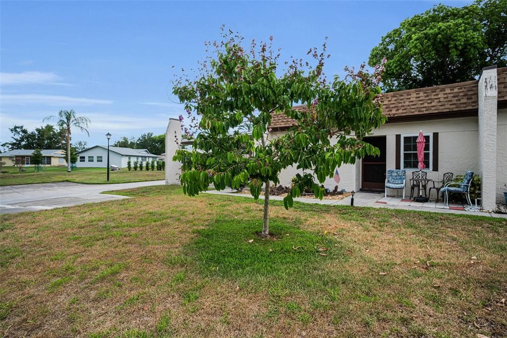 3097 MISSION GROVE DRIVE PALM HARBOR, FL 34684