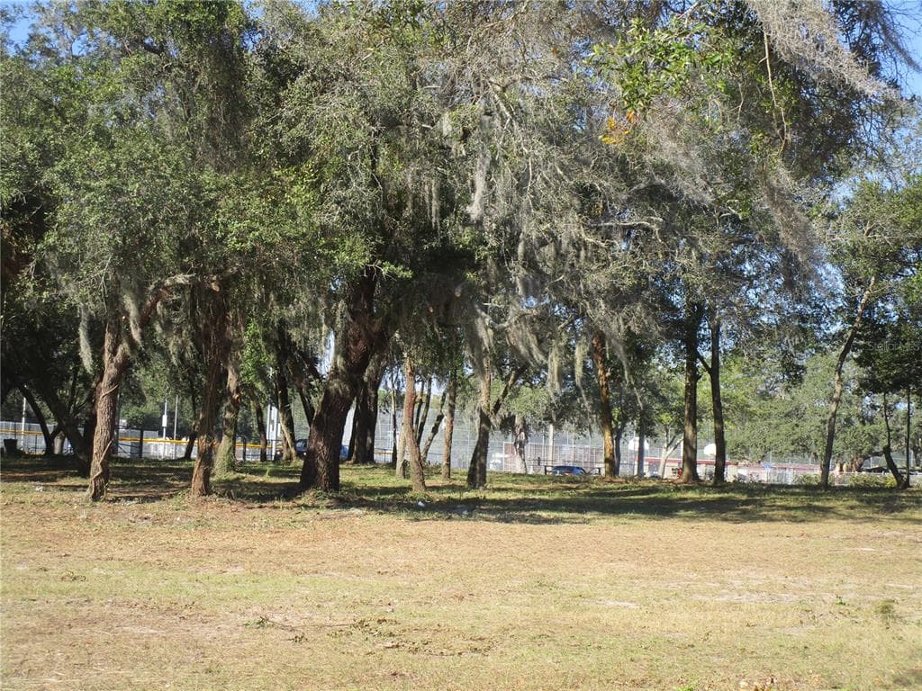 6718 N ROME AVENUE TAMPA, FL 33604