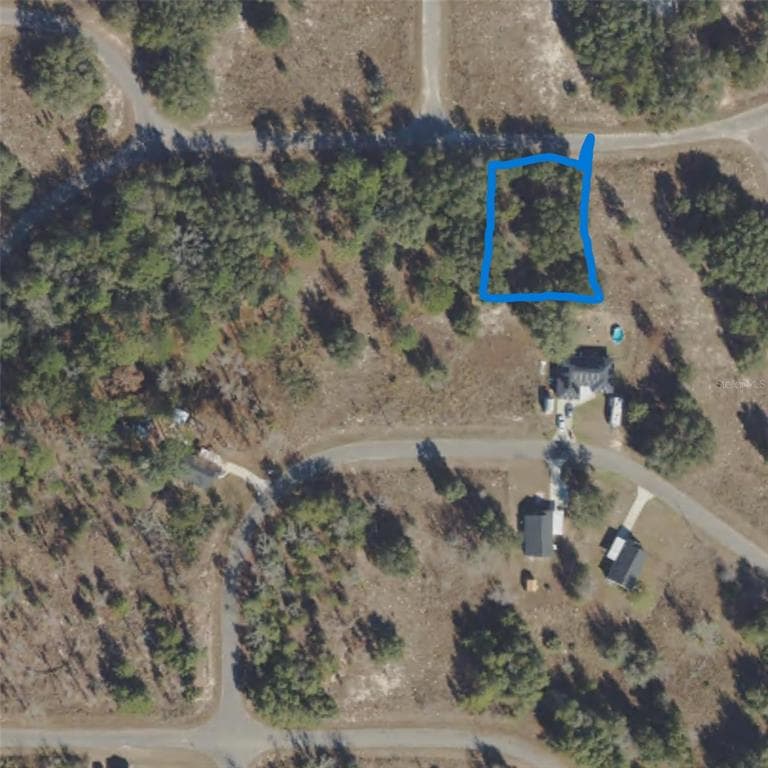 71 GUAVA TERRACE OCKLAWAHA, FL 32179