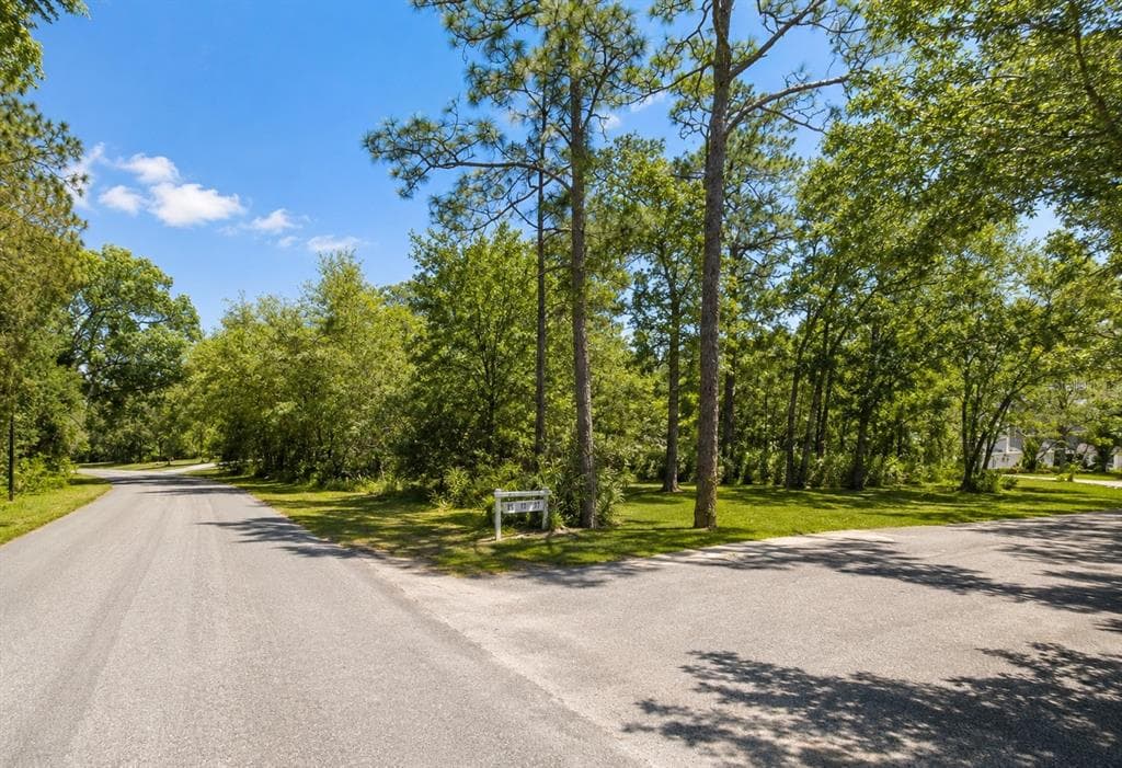 SEAGRAPE STREET HOMOSASSA, FL 34446