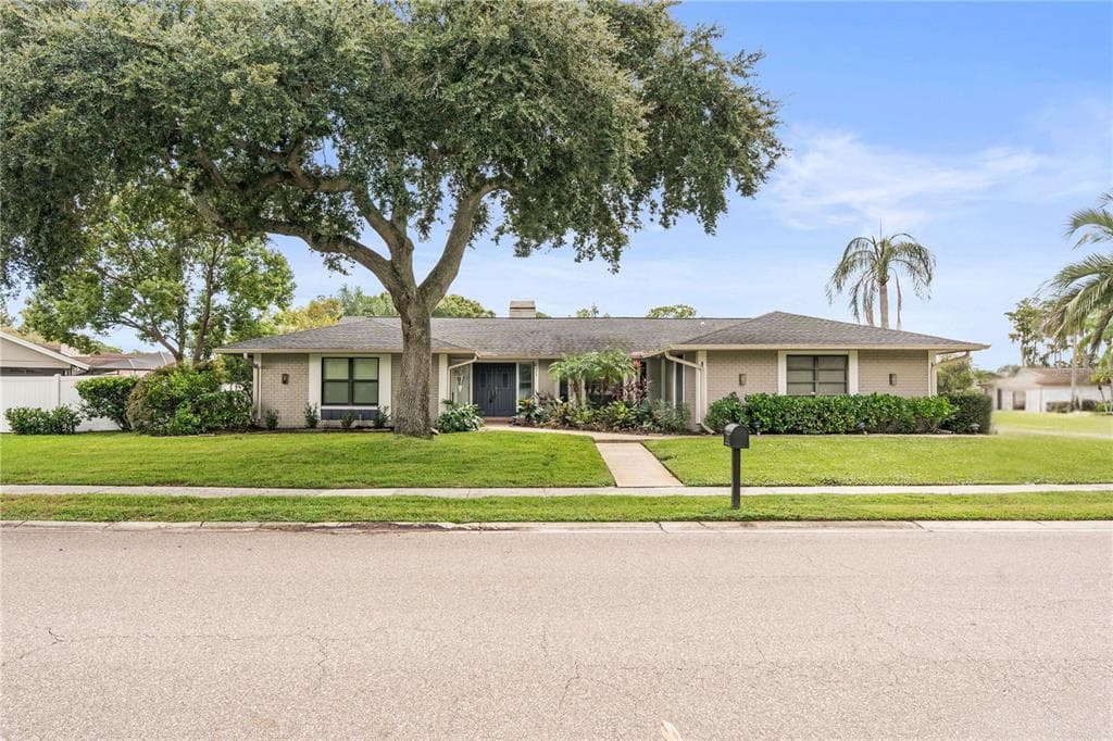 475 HOLLY HILL ROAD OLDSMAR, FL 34677
