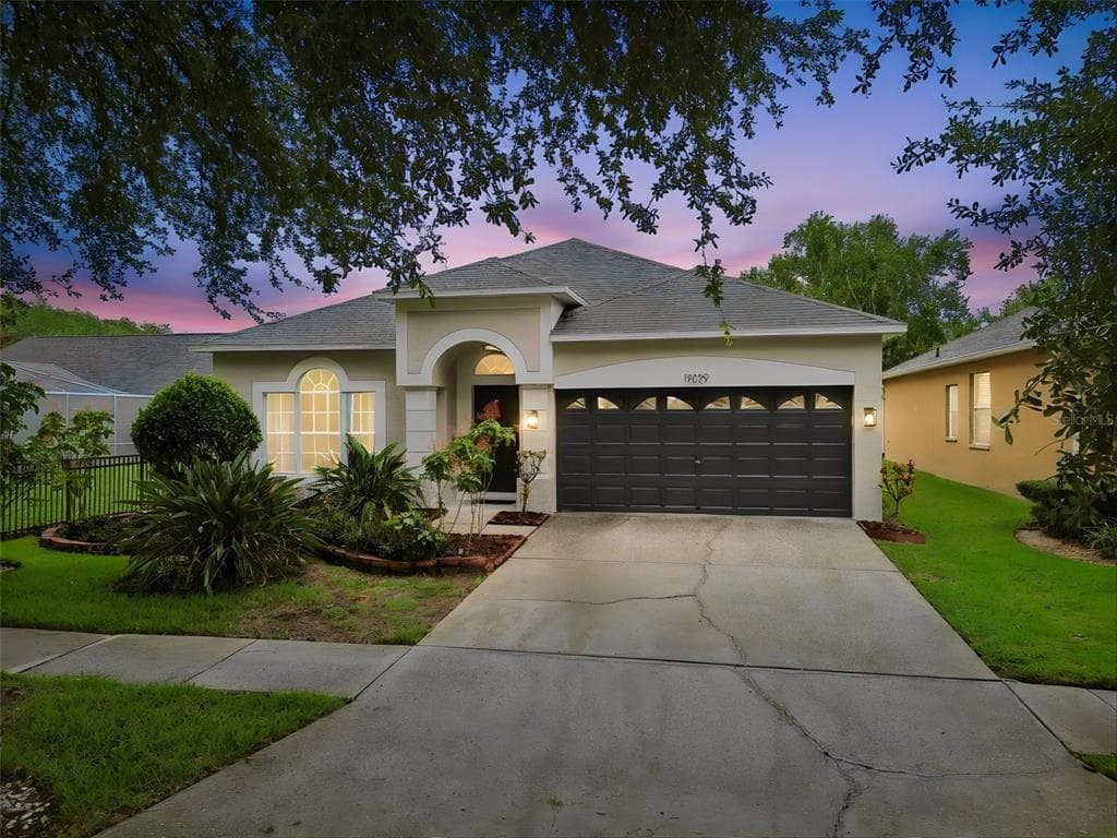 19029 CHEMILLE DRIVE LUTZ, FL 33558