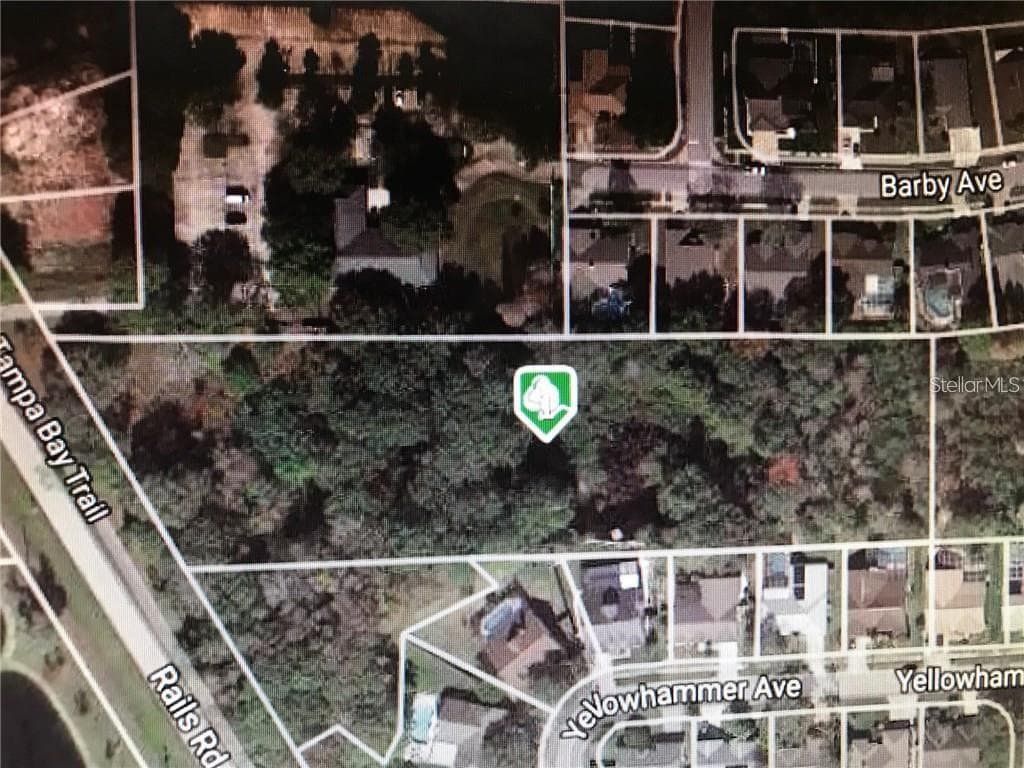 15025 RAILS ROAD ODESSA, FL 33556