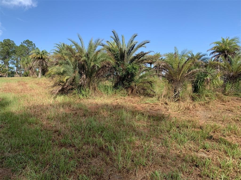 DAN BROWN HILL ROAD Lot 3 BROOKSVILLE, FL 34602