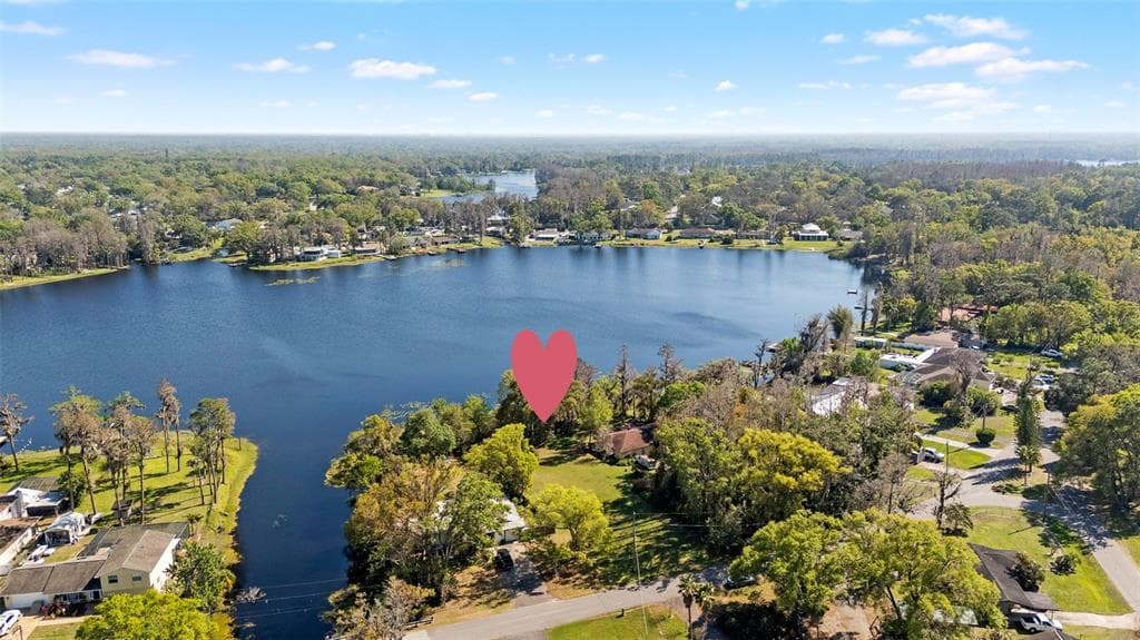 18703.5 LAKESHORE DR LUTZ, FL 33549