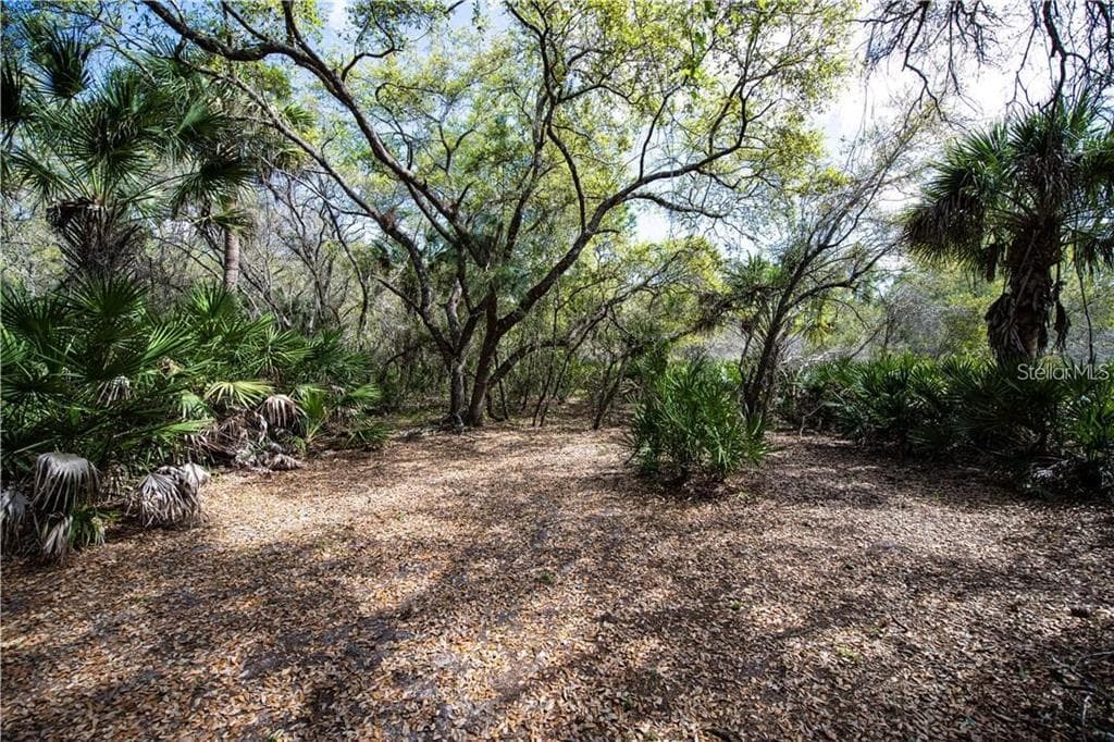 392 MANLY STREET PORT CHARLOTTE, FL 33953