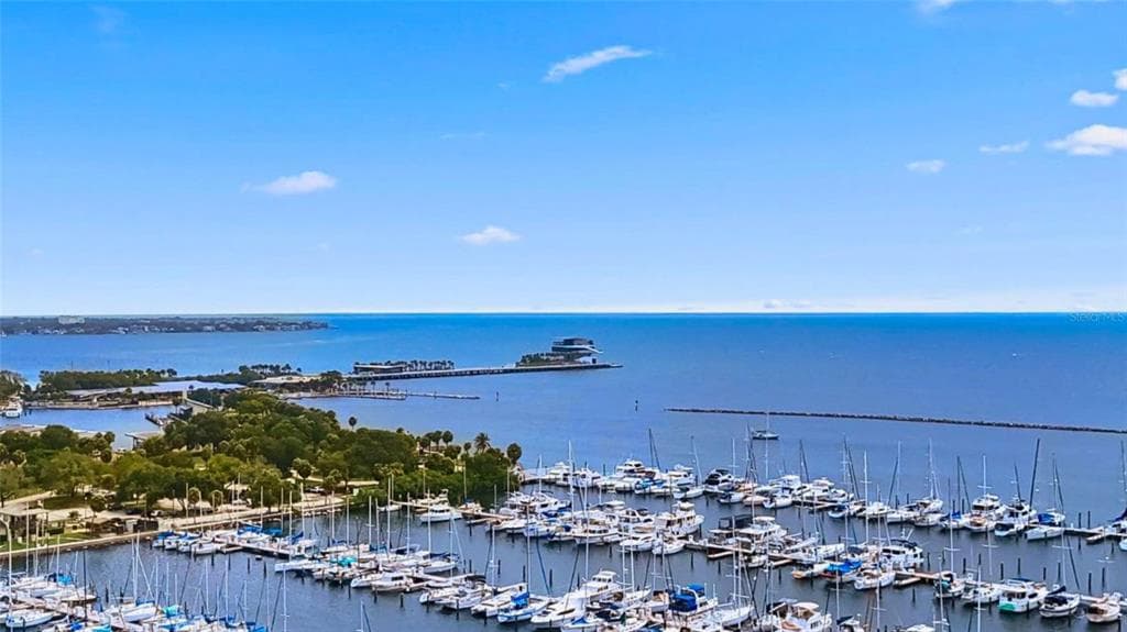 199 DALI BOULEVARD UNIT 1106 ST PETERSBURG, FL 33701