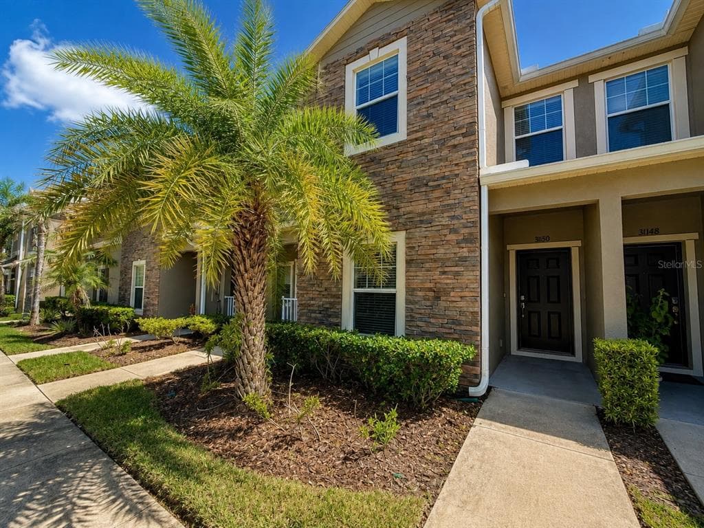 31150 GOSSAMER WAY WESLEY CHAPEL, FL 33543
