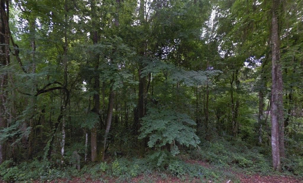 SE 42ND COURT BELLEVIEW, FL 34420