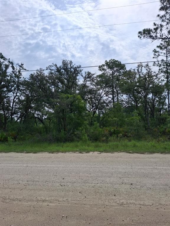 18308 PARAKEET ROAD WEEKI WACHEE, FL 34614