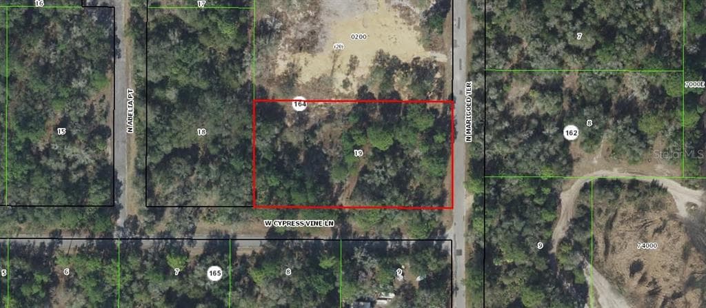10080 N MARIGOLD TERRACE CRYSTAL RIVER, FL 34428