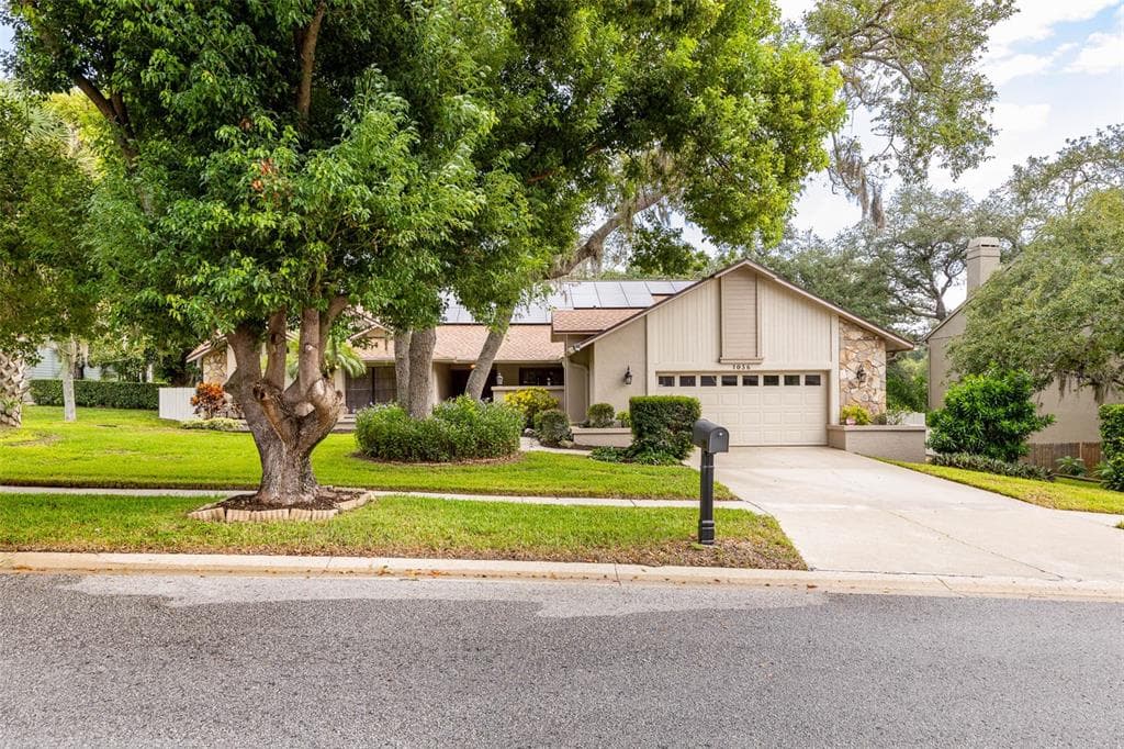 1056 ENISWOOD PKWY PALM HARBOR, FL 34683