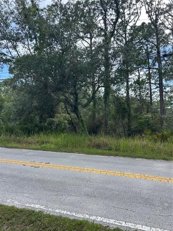 8131 NIGHTINGALE ROAD WEEKI WACHEE, FL 34613