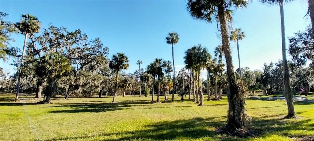 11105 WINN ROAD RIVERVIEW, FL 33569