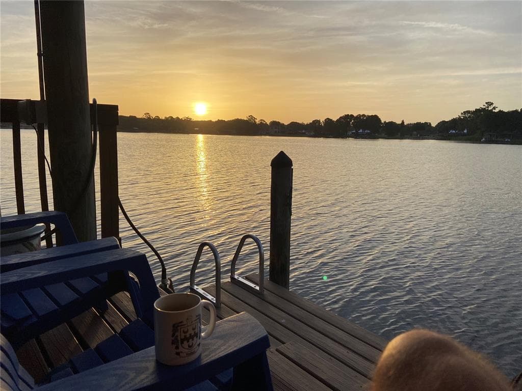 3704 SWANS LANDING DRIVE LAND O LAKES, FL 34639