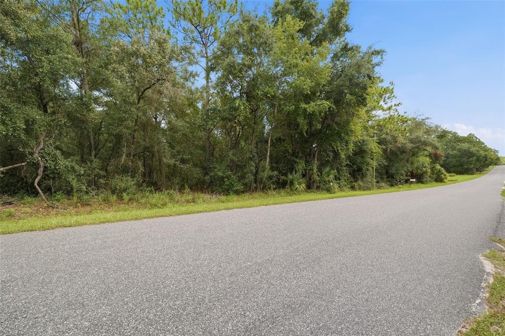 1295 E RAY STREET HERNANDO, FL 34442