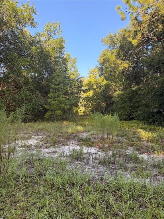 115 ORANGE TREE COURT MELROSE, FL 32666