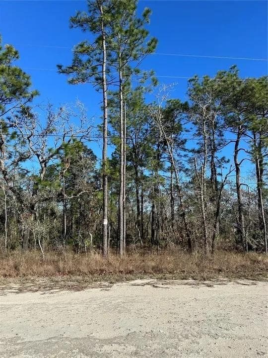 11117 SEATTLE WREN AVENUE WEEKI WACHEE, FL 34614