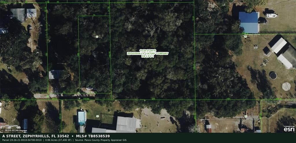 A STREET ZEPHYRHILLS, FL 33542