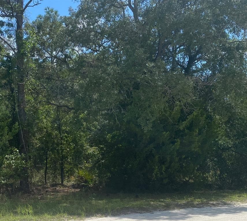 PEACEFUL AVENUE WEEKI WACHEE, FL 34614